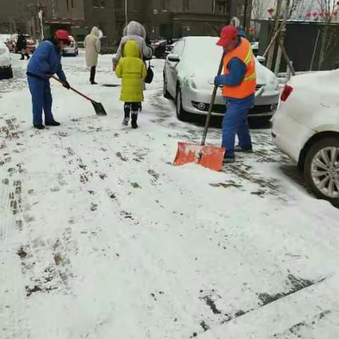 浴新南街道办事处 冒雪清道路  居民安全行