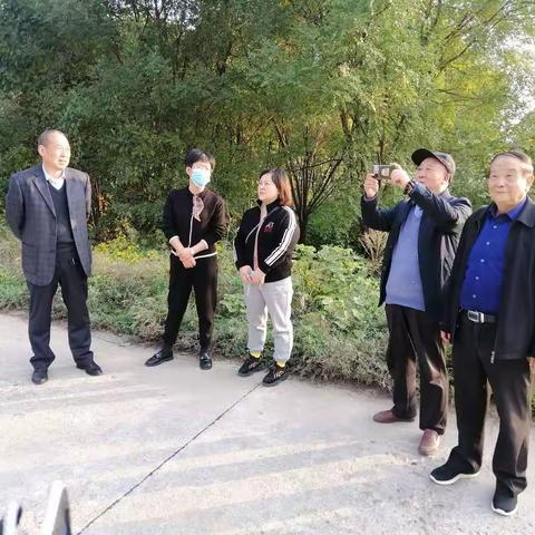 21日，市老科协林专委会同市林业局到凤翔区，陈仓区调研甜柿子产业发展情况。