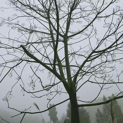 一起去徒步吧！