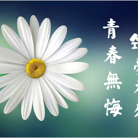 青春无悔，筑梦未来--廊坊市第四小学杨天天教师个人事迹