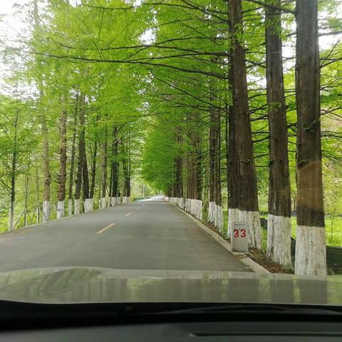 环留坝最美乡村公路