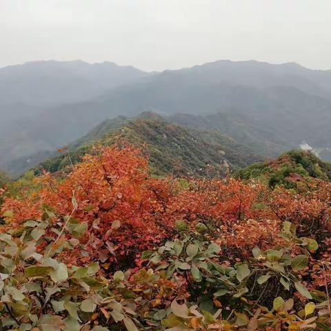 登圭峰山