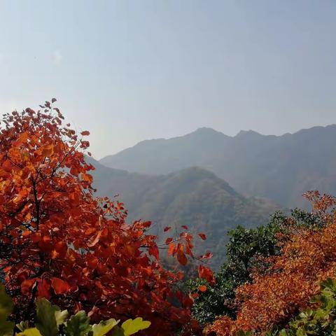 日常越野跑道