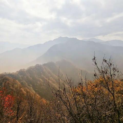 登顶翠峰山