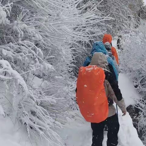 风雪嘉午台