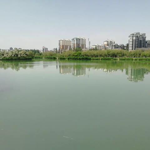 晨跑在银川盛夏