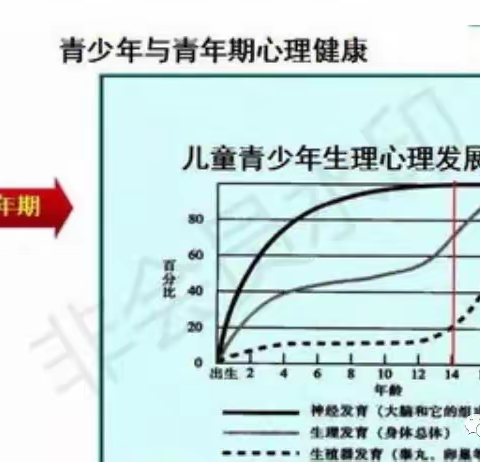 父母要懂点心理学之青春期孩子的心理抚养