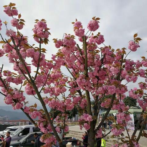 象山一日游