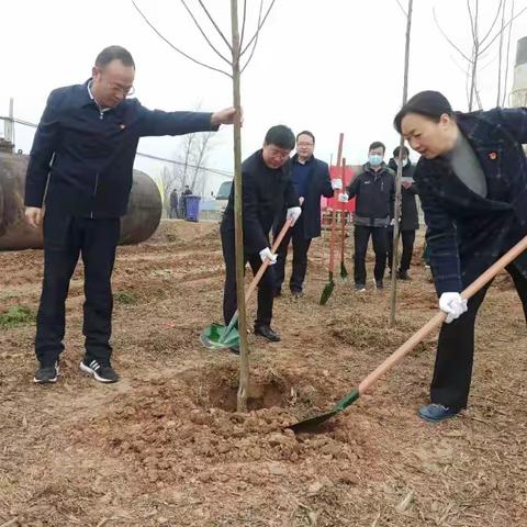 县委书记申乐民带领四大班子领导到七里营镇参加植树活动