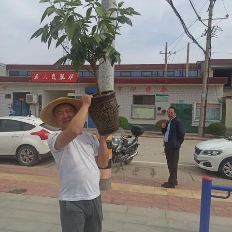 撸起袖子加油干 乡村振兴走在前——七里营镇机关干部到曹庄村参加志愿服务活动