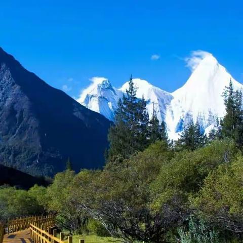 2016年初中历史国培总结