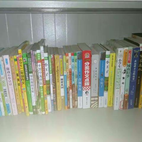 一书一世界——实验小学三《16》班刘佳慧