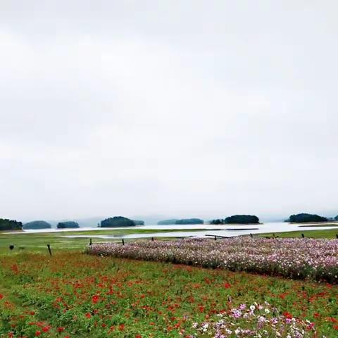 走向户外，一起去秋游。