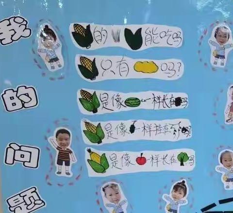 在秋天“玉”见你 ——中（3）班