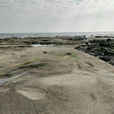 涠洲岛我围了她