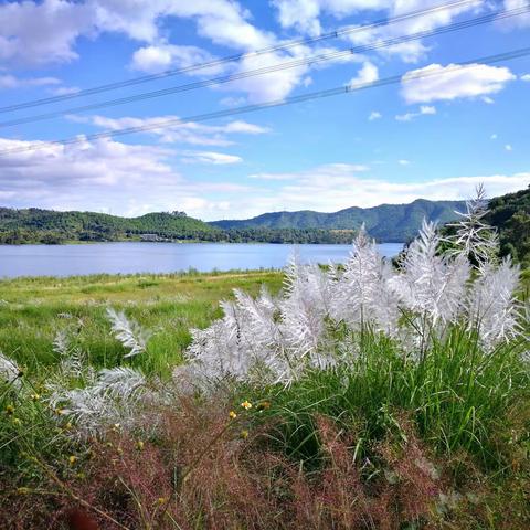 停课不停学、师生共成长。