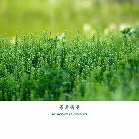 宅家抗疫情，劳动欢乐多