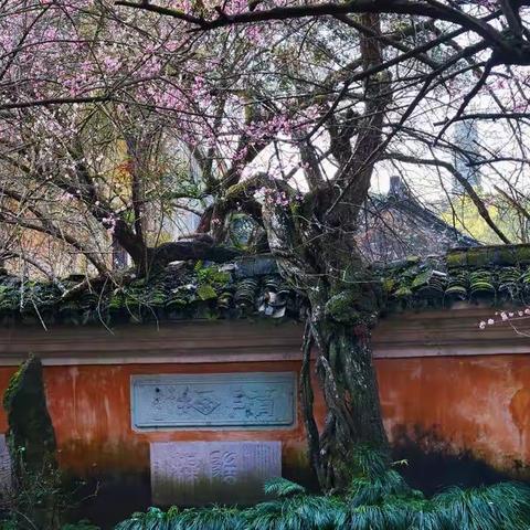 诗路天台┃《送梵才吉上人归天台》 北宋•梅尧臣