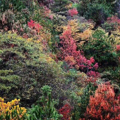 诗路天台┃《赠天台通上人》 南宋•刘克庄