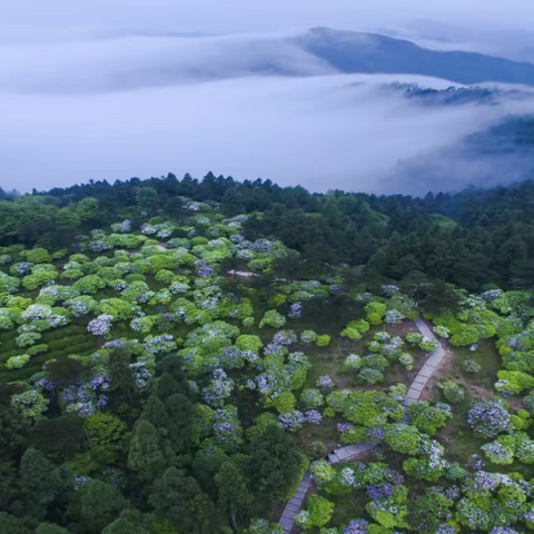 诗路天台┃《寄天台梵才上人》 北宋•梅尧臣
