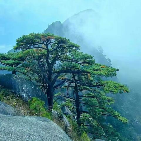 诗路天台┃《送天台进长老》 北宋•鲍当