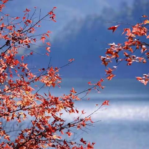 诗路天台┃《送天台则上人还浙东》 宋•苏庠