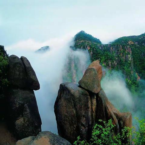 诗路天台┃《送张无梦归天台山》 北宋•杨亿