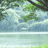 “雨”的佳作欣赏