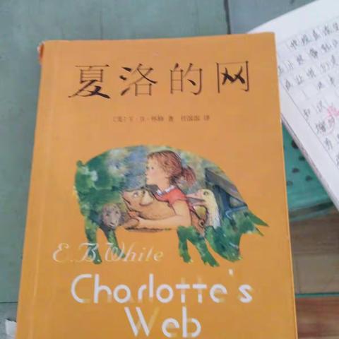 《夏洛的网》读后感