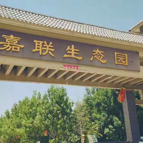 嘉联生态园    消夏好去处