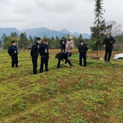 多部门联合开展百合基地草甘膦使用情况调查