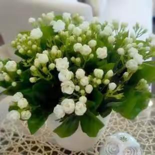 【生活杂言】二