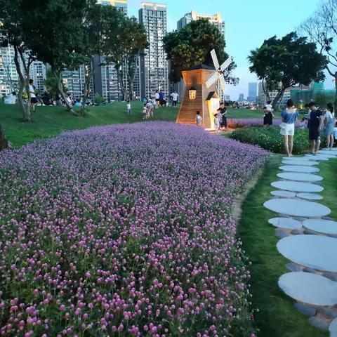 生活杂言（四）