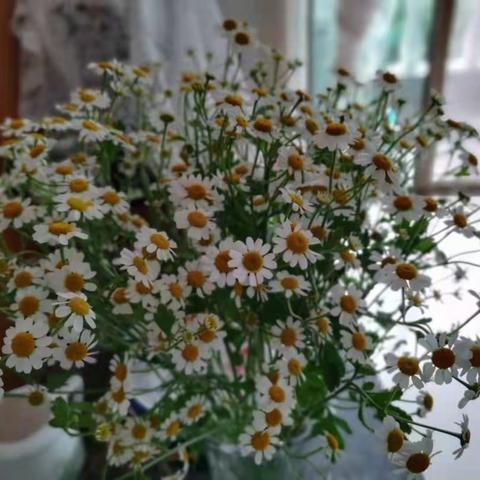 生活杂言（五）