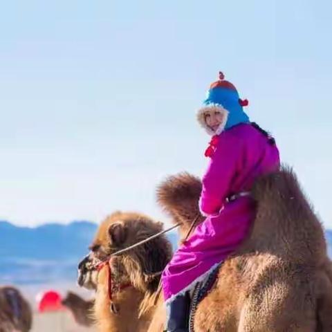 内蒙古乌拉特后旗第三届文化旅游节