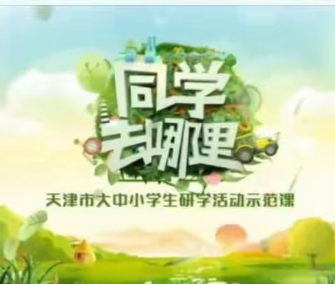 宝双小学六年一班观看爱国主义教育家庭观影活动《同学去哪里》的心得体会