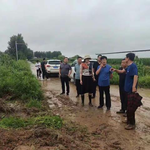 雨情就是命令，防汛就是责任｜移风店镇筑牢防汛安全屏障