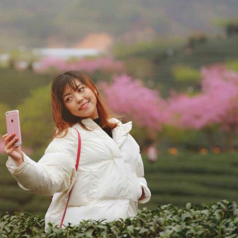 “小庐山”台品樱花🌸