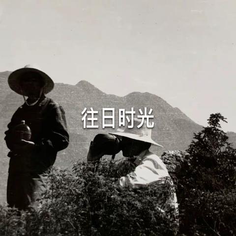 《往日时光》40年老照片分享