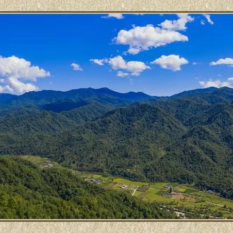 夏日登秦岭