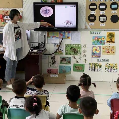 台头镇中心幼儿园“八月十五 月满中秋”主题活动