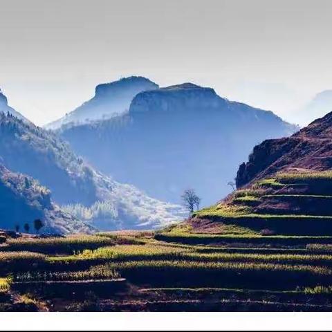 2019年度冬季成长训练营