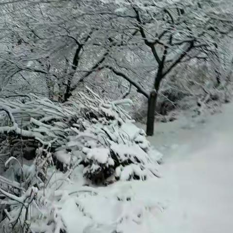 二o一七年最后一场雪