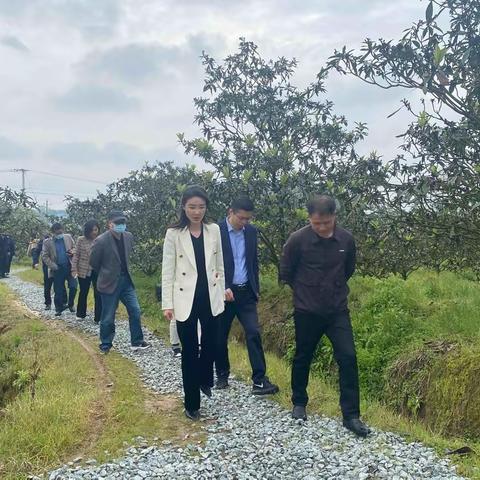 市残联党组书记陈乐深入弋阳调研指导新时代残联工作