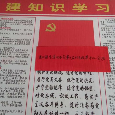 港口镇第十届村“两委”换届选举工作顺利结束（副本）