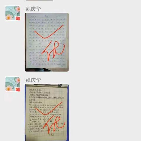 疫情无情，师生有情——陶母岗小学全体师生网上教与学，互动效果好