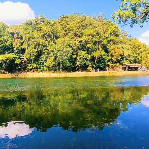 新民乡石咀小学“停课不停学”线上教学活动