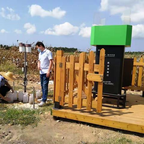 三亚市草地贪夜蛾防控周报（第4期）