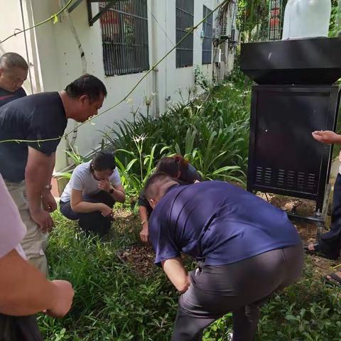 海南省草地贪夜蛾“三区三带”监测布防督导组到三亚检查工作