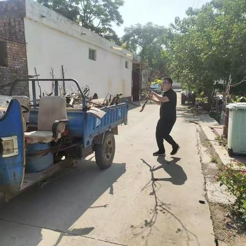 炎炎夏日，刘村人居环境大变样
